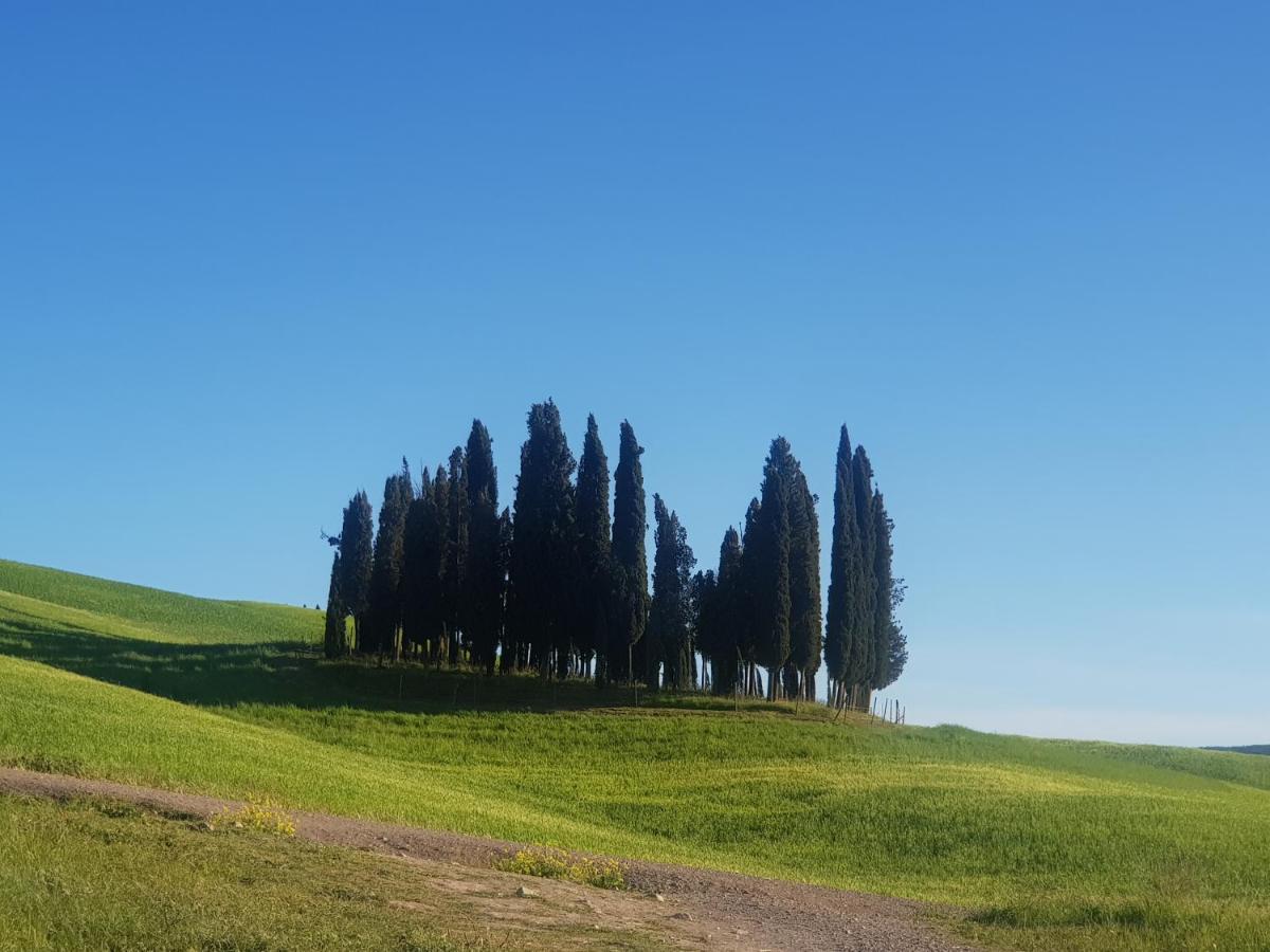 Campsite Dimora In Francigena San Quirico d'Orcia