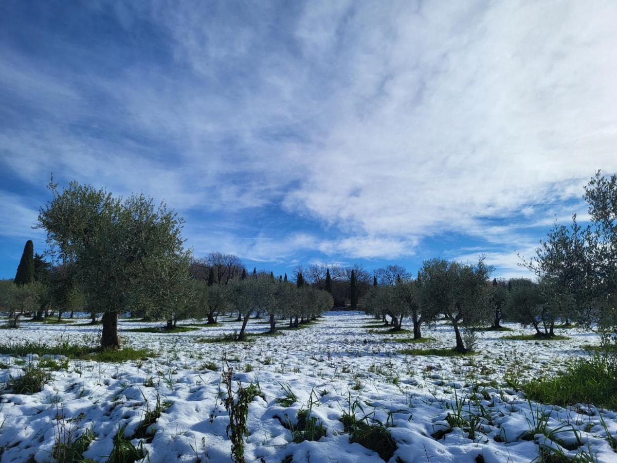 Campsite Dimora In Francigena San Quirico d'Orcia