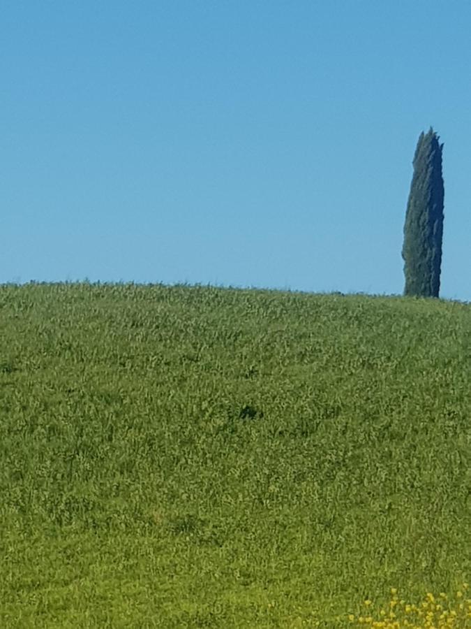 Dimora In Francigena Campingplatz San Quirico dʼOrcia